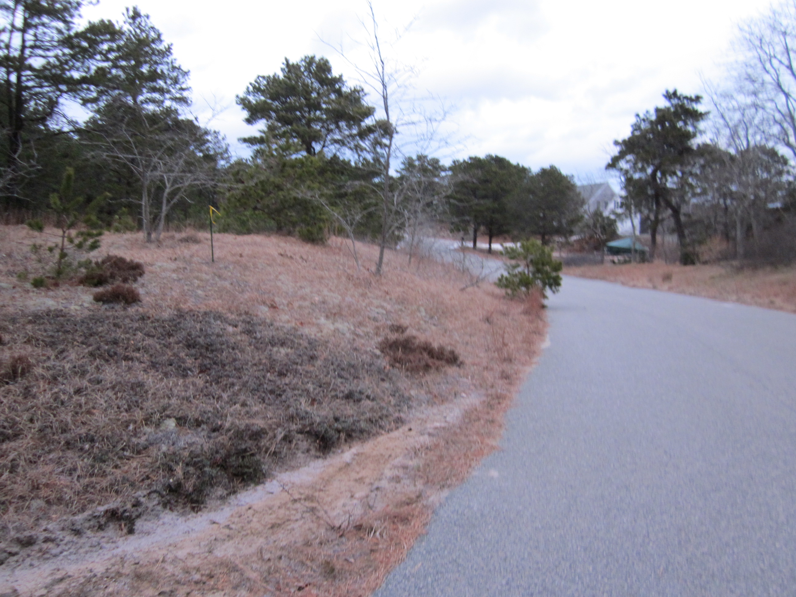 Vacant Land in Wellfleet, MA